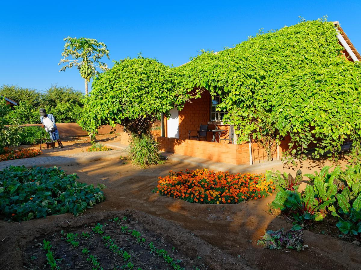 Gondwana Damara Mopane Lodge Mopane Pos ภายนอก รูปภาพ
